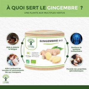 Gelules Gingembre Bio - – Image 3