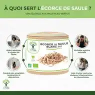 Gelules Écorce de saule blanc bio – Image 2