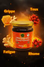 Miel gingembre ginseng et guarana Énergie 3G🔥 Chifa – Image 2