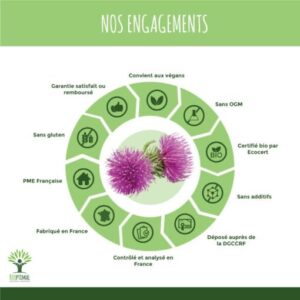 Gélules Bardane bio – Image 4