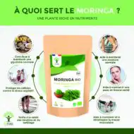 Moringa bio poudre – Image 2