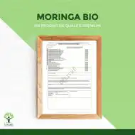 Moringa bio poudre – Image 3