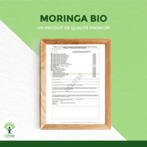 Moringa bio poudre – Image 3