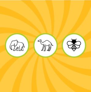 Taswir - Apprendre à dessiner en s'amusant – Image 9