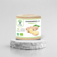 Gelules Gingembre Bio -