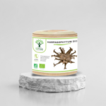 Harpagophytum bio 60 gélules