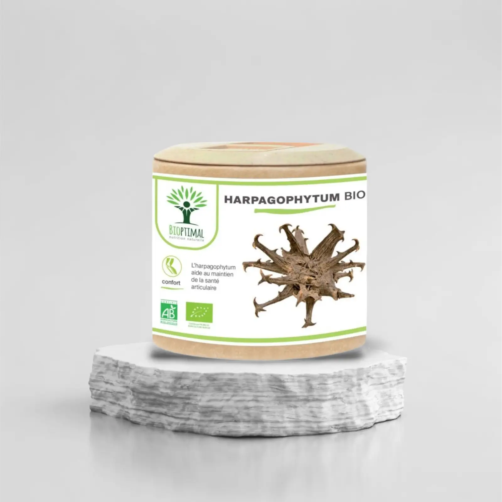 1000085100.png Harpagophytum bio 60 gélules – Image 1
