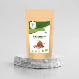 Reishi bio poudre