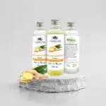 Huile de gingembre -tameem paris-100ml