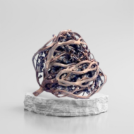 Rose de Jericho (Shajarat Maryam) 20g - 100% Naturelle