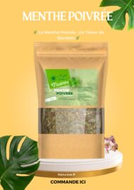 MENTHE POIVREE – Image 2