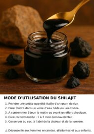 Shilajit – Résine Pure des Montagnes | Énergie, Immunité, Détox – Image 3