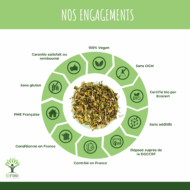 Thé minceur & Détox bio – Image 2