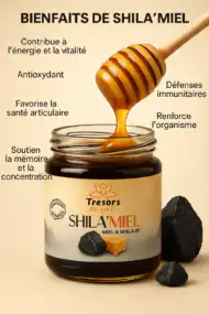 Miel au Shilajit – Énergie, Immunité & Vitalité | 100% Naturel – Image 3