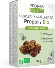 Morceaux à mâcher de Propolis Bio – Propos’Nature – Image 2