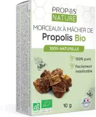 Morceaux à mâcher de Propolis Bio – Propos’Nature – Image 2